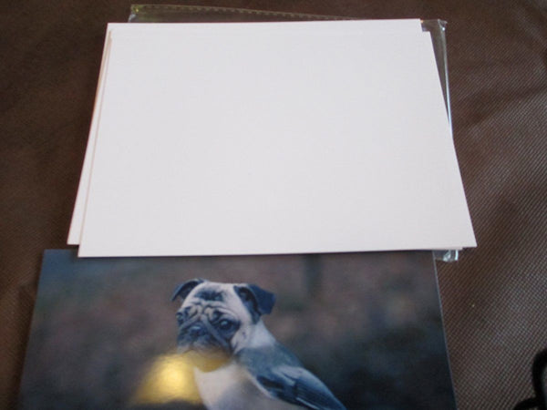 100 sheets 5 X 7 Glossy Photo Paper for lexmark kodak inkjet and laser printer - leafypro